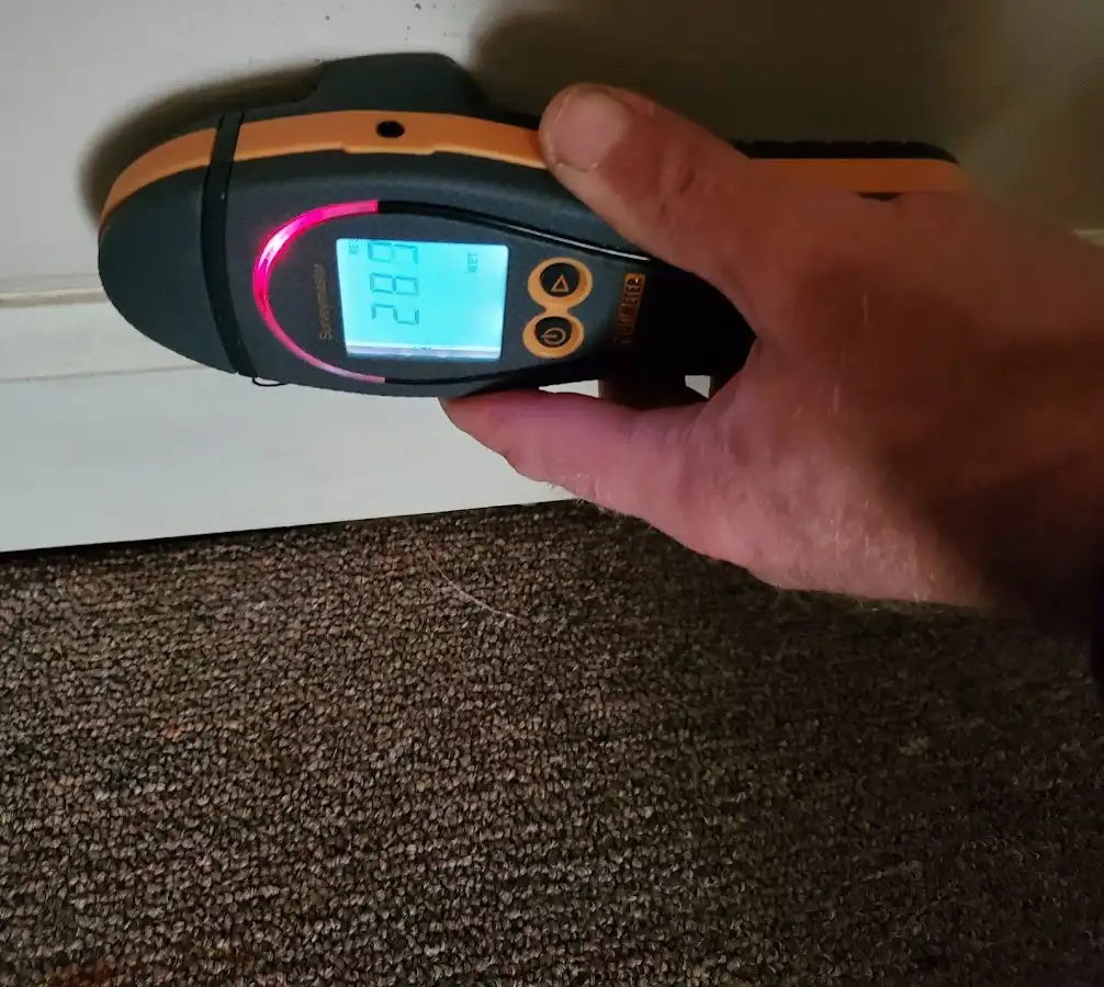 Moisture detection at baseboard during Mold Inspection & Testing in Odessa